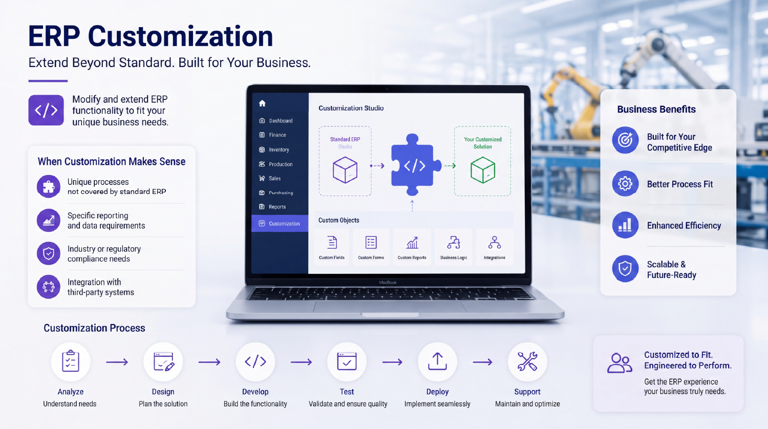 ERP Customization