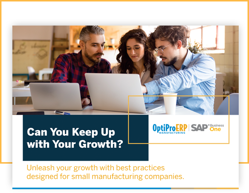 ERP for Small Businesses – OptiProERP with SAP Business One